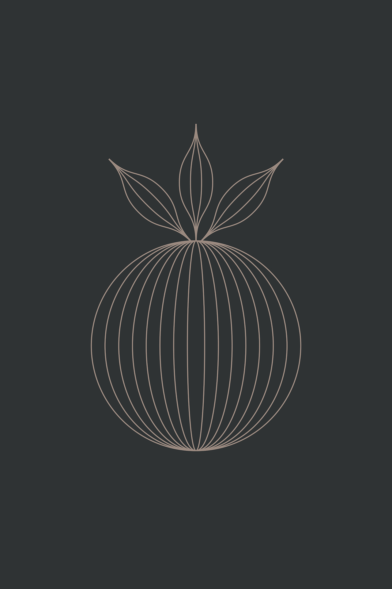 POSTER – Dark Geometric Fruit – Minimalist Vector Line Art – 24x